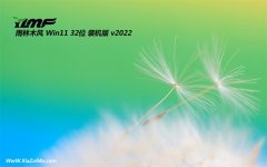 雨林木风免激活win11 32位全能绝对版v2021.12